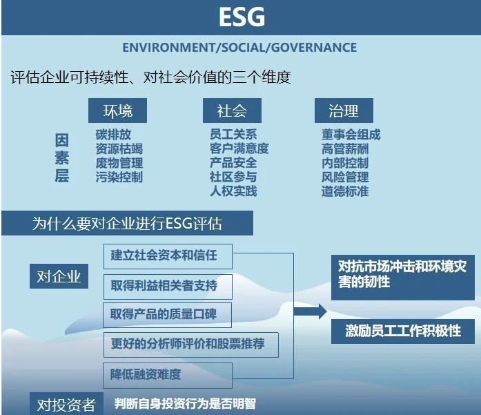 双碳战略咨询服务(双碳战略是什么意思)百色市