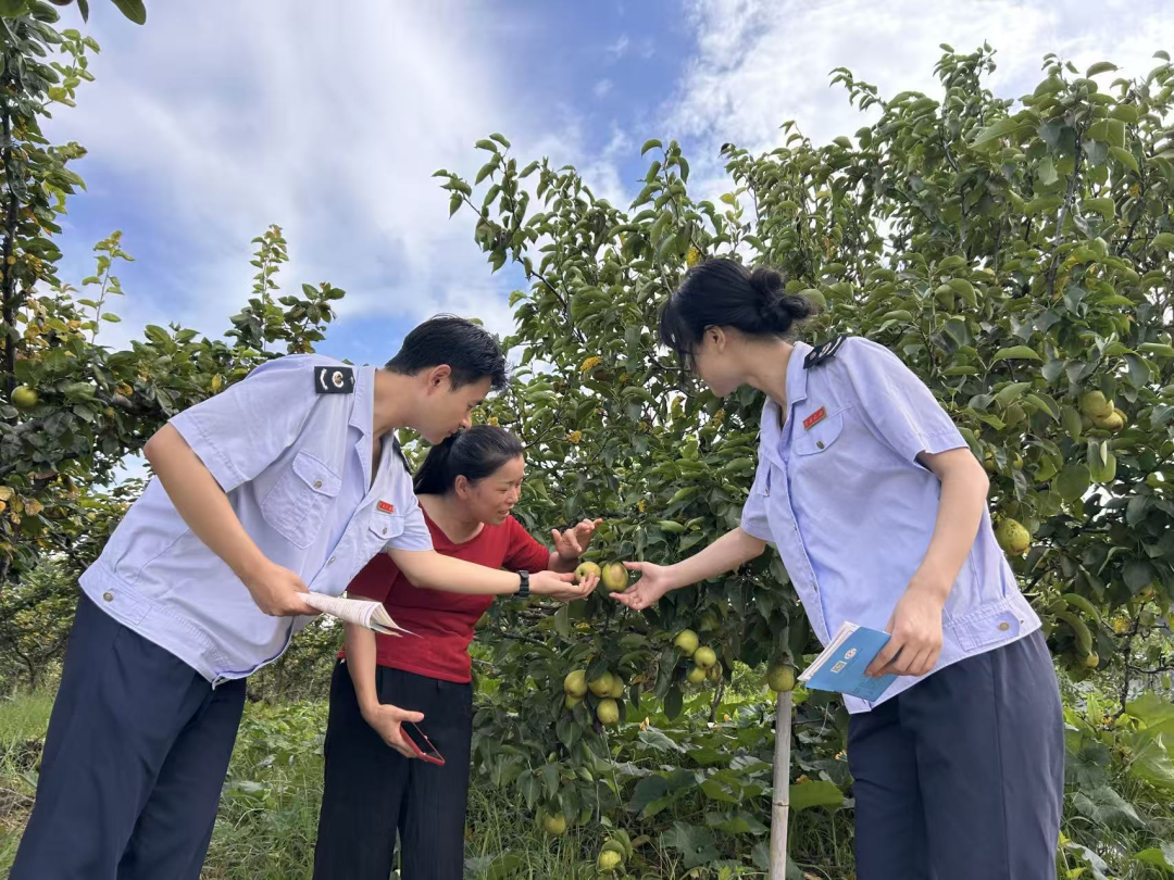 税务合规规范辅导(税务合规的规则体系)百色市