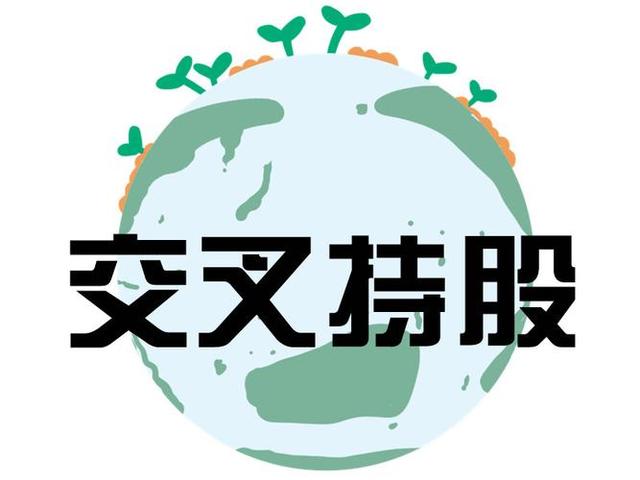 交叉持股安排设计(交叉持股怎么计算持股比例)百色市