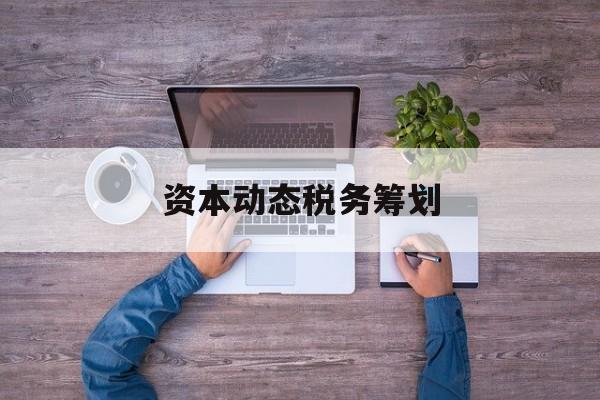 资本动态税务筹划(资本动态税务筹划案例)百色市