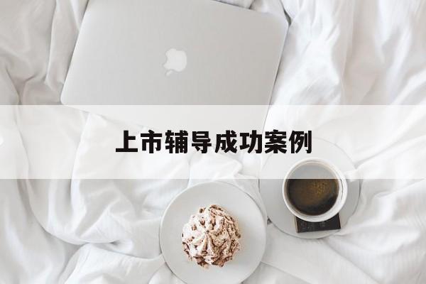 上市辅导成功案例(上市辅导成功后肯定会上市吗)百色市 上市辅导成功案例(上市辅导成功后肯定会上市吗)百色市